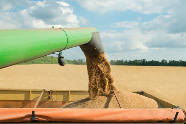 Правительство одобрило ежегодную квоту на экспорт зерна
